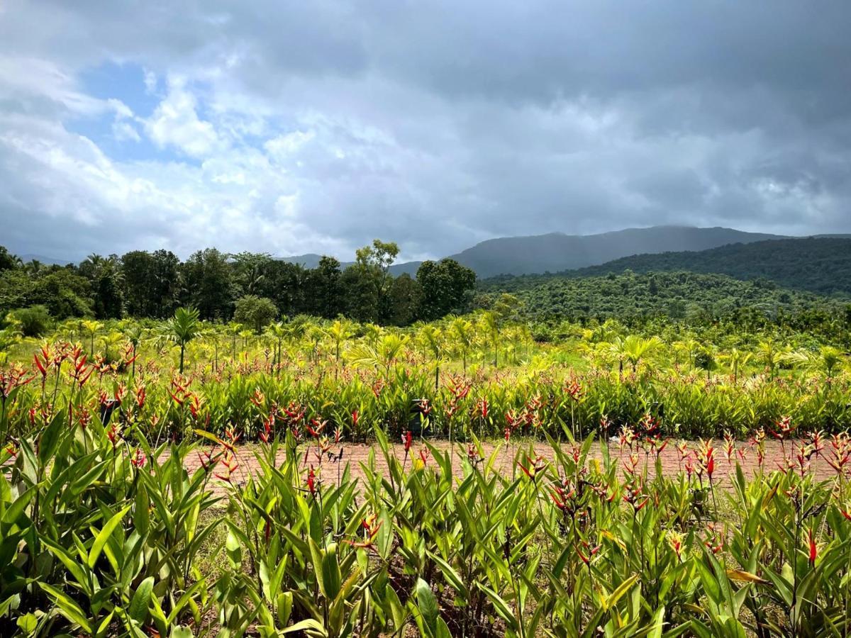 The Postcard Hideaway, Netravali Wildlife Sanctuary, Goa Hotel Vichondrem Exterior photo