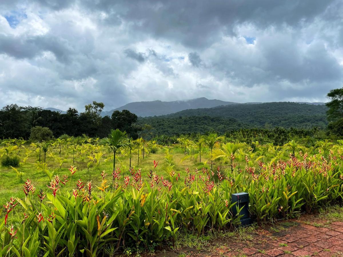 The Postcard Hideaway, Netravali Wildlife Sanctuary, Goa Hotel Vichondrem Exterior photo