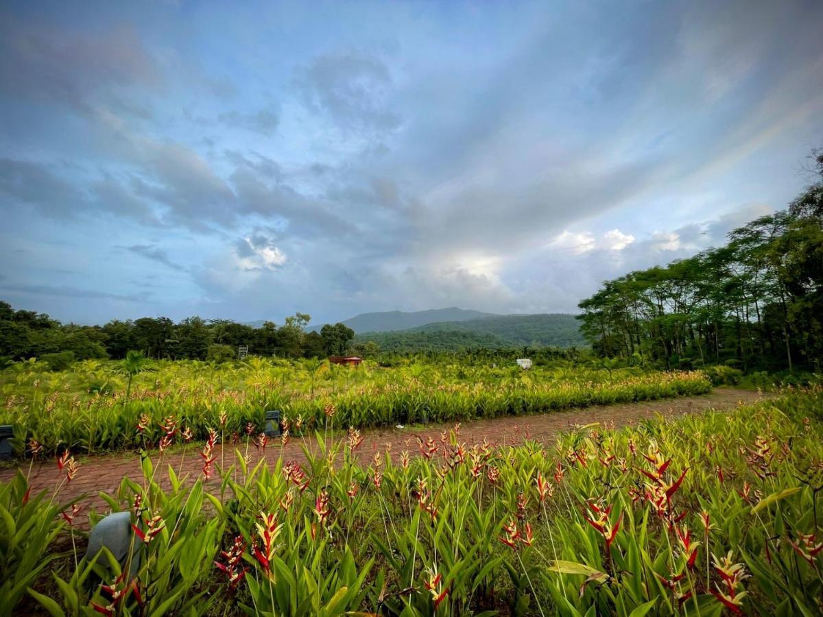 The Postcard Hideaway, Netravali Wildlife Sanctuary, Goa Hotel Vichondrem Exterior photo