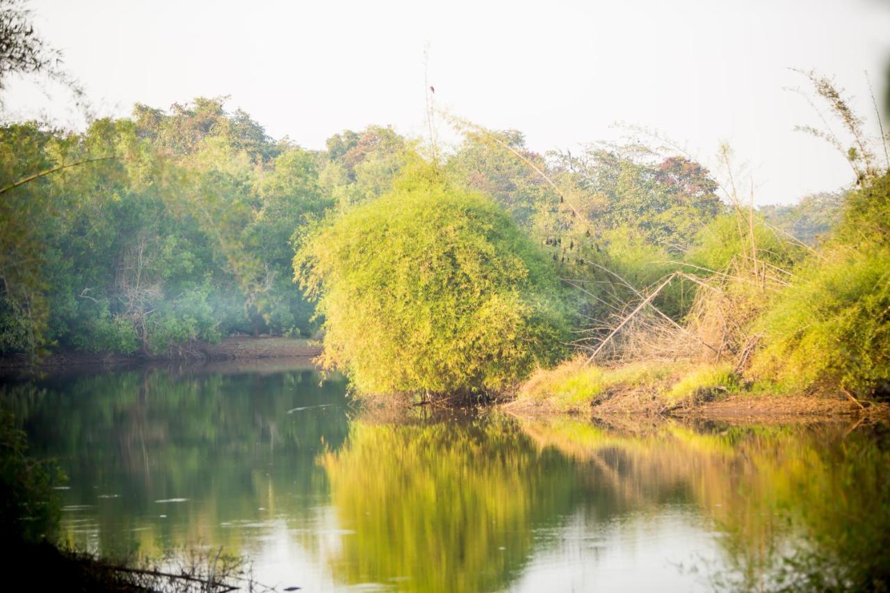 The Postcard Hideaway, Netravali Wildlife Sanctuary, Goa Hotel Vichondrem Exterior photo
