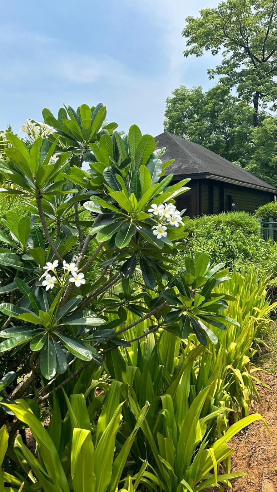 The Postcard Hideaway, Netravali Wildlife Sanctuary, Goa Hotel Vichondrem Exterior photo