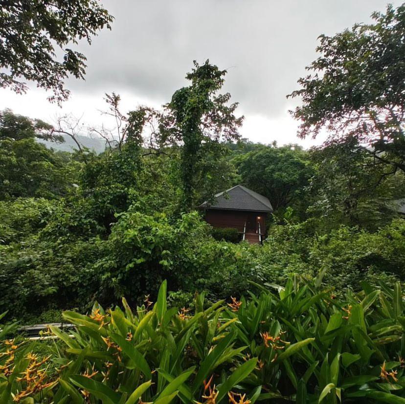 The Postcard Hideaway, Netravali Wildlife Sanctuary, Goa Hotel Vichondrem Exterior photo